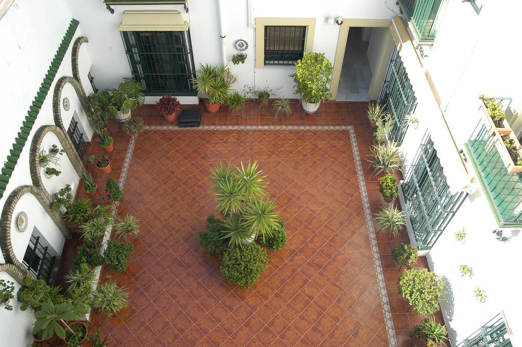 Apartamento Los Olivos Jerez Jerez de la Frontera Cameră foto